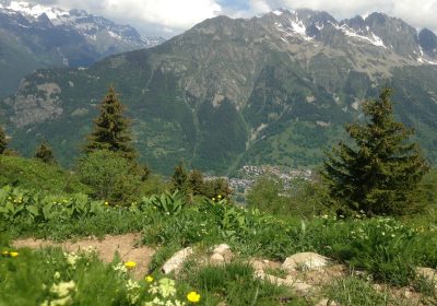 Voyage au bout de l’alpage : Sentier des Jasses, l’ Alpette, l’Enversin