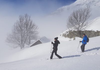 Sneeuwschoenwandelen met Alain Hilion