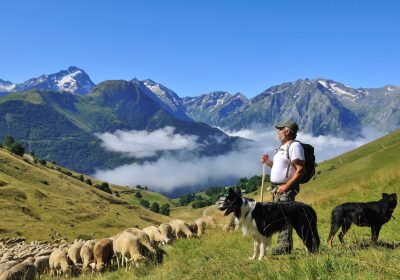 Uitstapje op de alpenweide – Maak kennis met de herder – Auris-en-Oisans