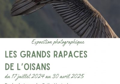 Exposition photos – Les grands rapaces de l’Oisans