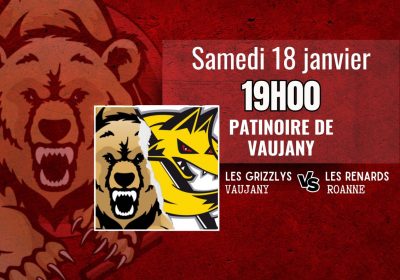 Match de Hockey des “Grizzlys de Vaujany” – D2