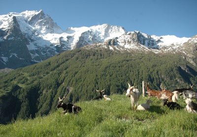 De La Grave au hameau de Ventelon