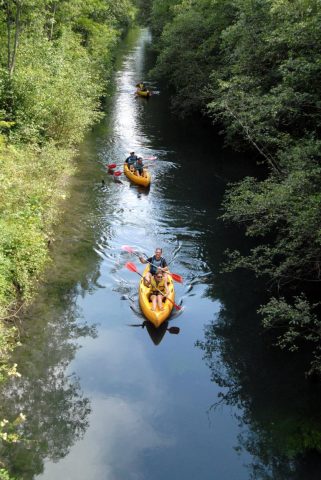 Canoë sur la Rive