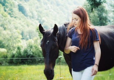 Equidanse paardenmeditatie